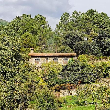 Casa Rural En Candeleda Con Piscina Y Un Maravilloso Jardin Екстериор снимка