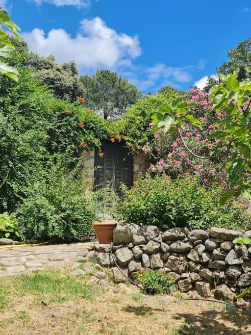 Casa Rural En Candeleda Con Piscina Y Un Maravilloso Jardin Екстериор снимка