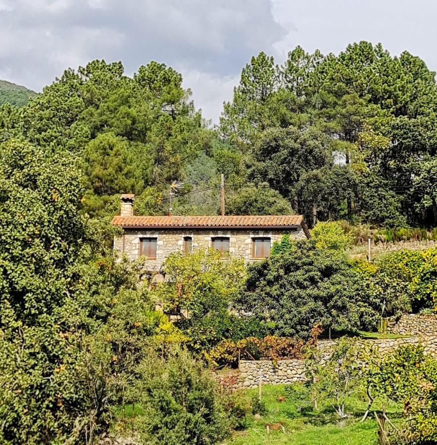 Casa Rural En Candeleda Con Piscina Y Un Maravilloso Jardin Екстериор снимка