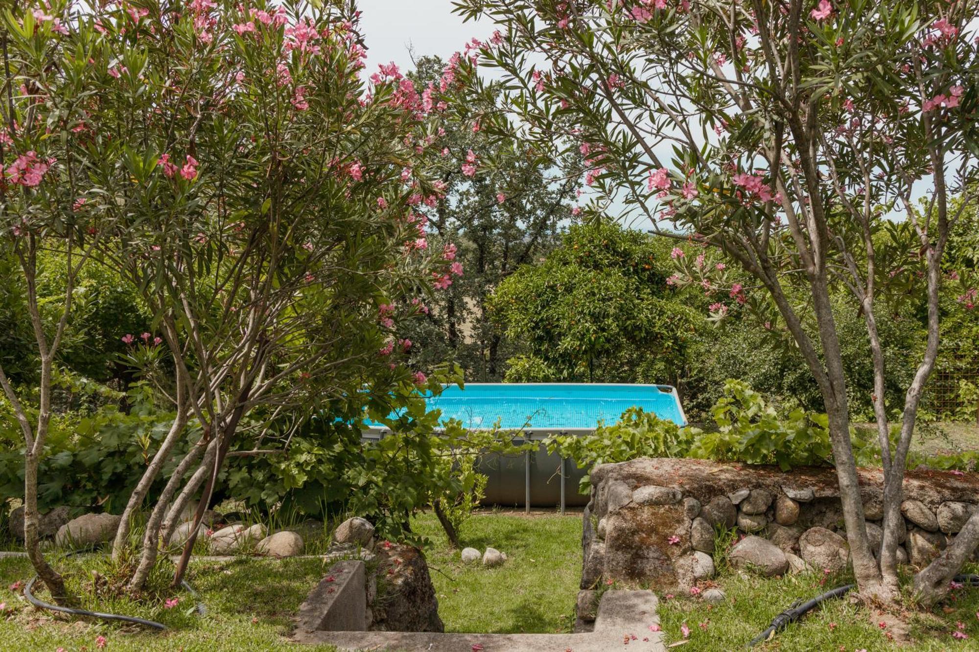 Casa Rural En Candeleda Con Piscina Y Un Maravilloso Jardin Екстериор снимка