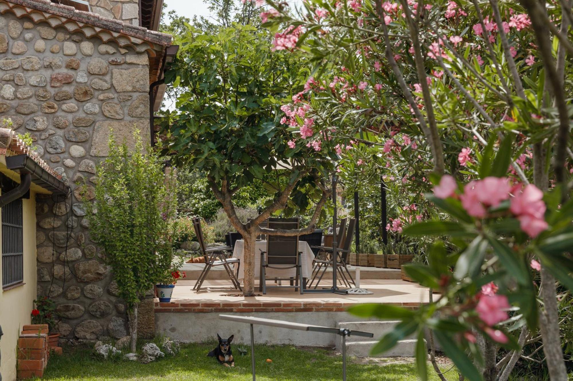 Casa Rural En Candeleda Con Piscina Y Un Maravilloso Jardin Екстериор снимка